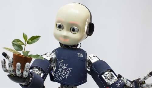 Il robot intelligente che aiuta gli umani - In Terris