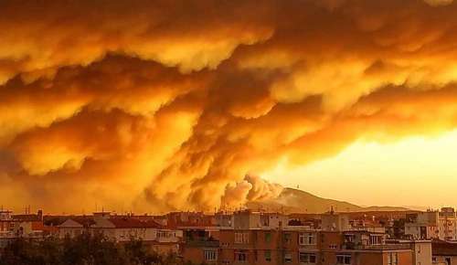 Incendio sul monte Serra: si indaga per rogo doloso