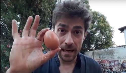 Le uova di Enrico