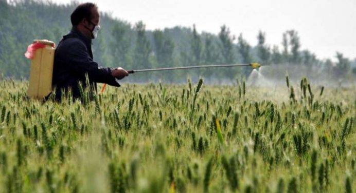 Acque italiane invase dai pesticidi