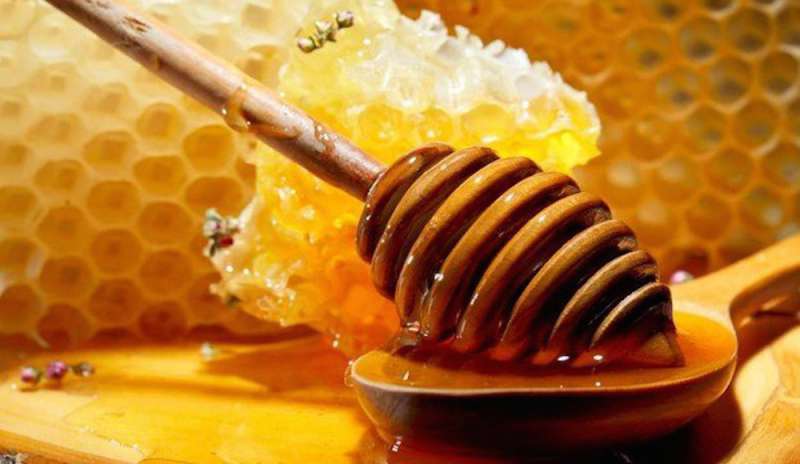 Allarme Coldiretti: “Produzione di miele – 41%”