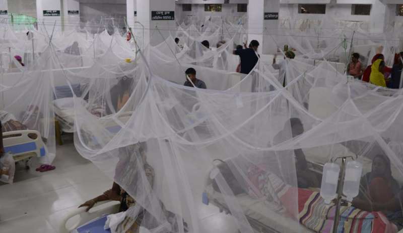 Allarme febbre dengue in Yemen: morti 78 bimbi