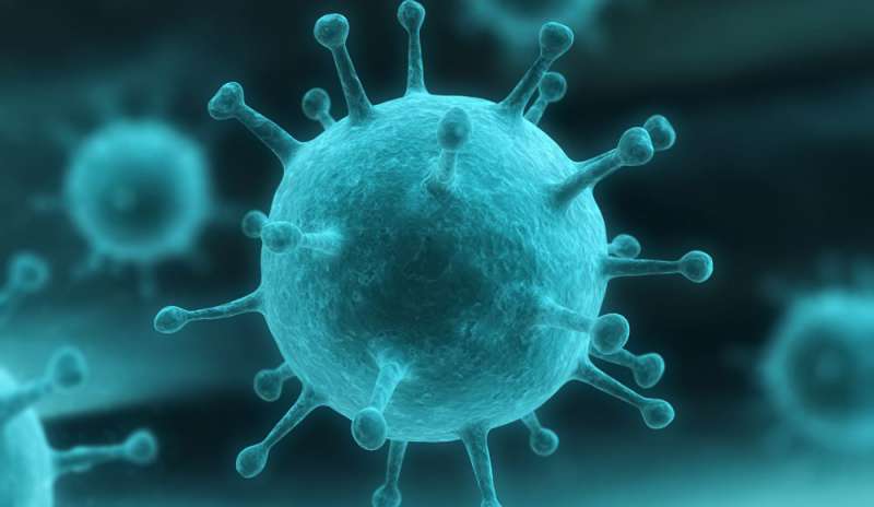 Allarme per epidemia di virus Nipah