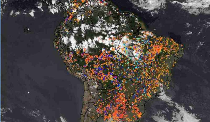 Amazzonia in fiamme, l'appello di una missionaria