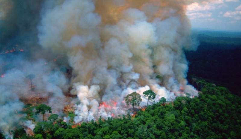 Amazzonia, se a bruciare è il nostro futuro