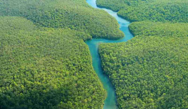“Ascoltiamo la voce dell'Amazzonia in pericolo”