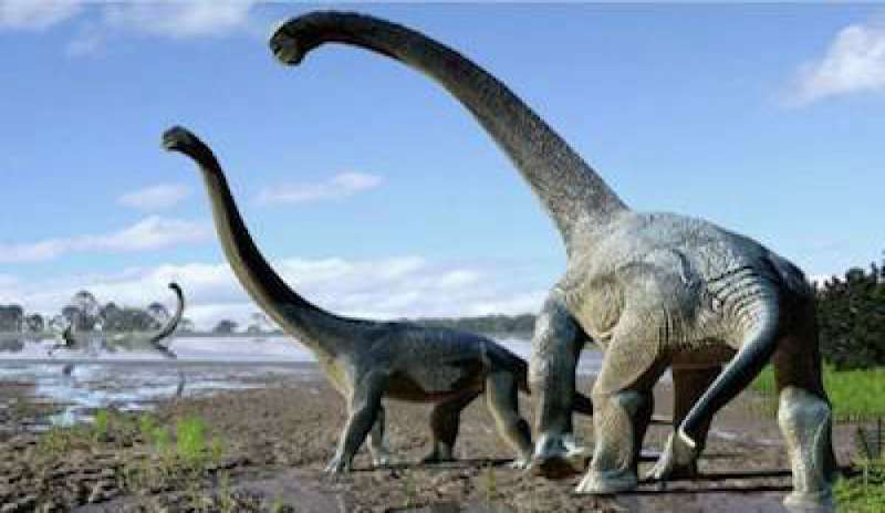Australia, scoperto un nuovo dinosauro: era alto 6 metri