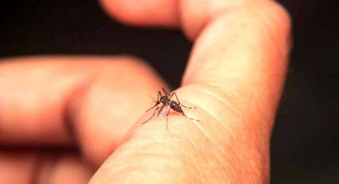 Brasile: morti per dengue in aumento del 163%