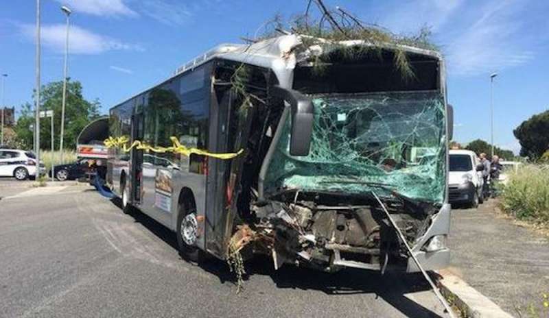 Bus si schianta contro un albero: 10 feriti