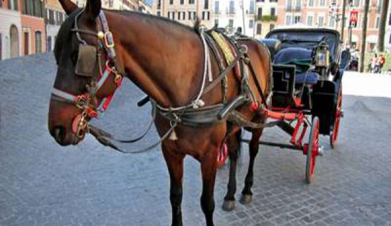 Campidoglio, via i cavalli dal Centro storico: il Comune spinge per le “botticelle” elettriche