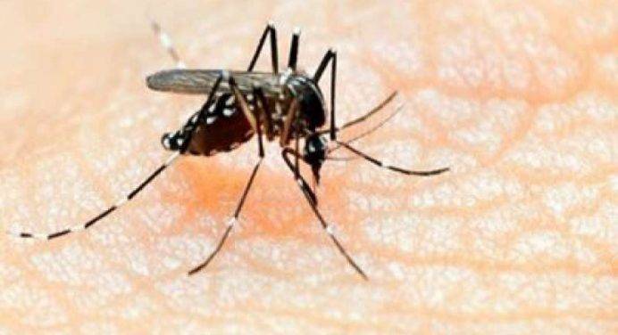 Chikungunya, aumentano i casi nel Lazio: 13 accertati, altri 35 sospetti