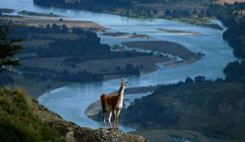 Cile, privato dona 400 mila ettari allo Stato: nasceranno 5 parchi nazionali