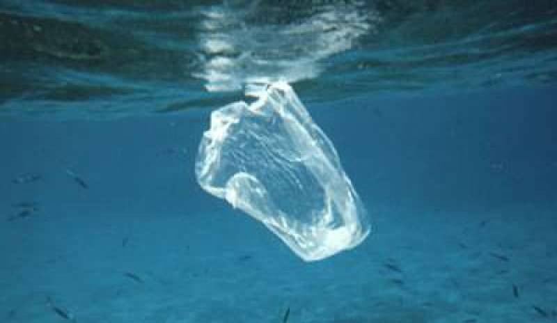 #CleanSeas: l’Onu dichiara “guerra” alla plastica negli oceani