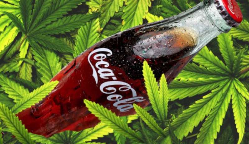 Coca Cola prepara la bibita alla cannabis
