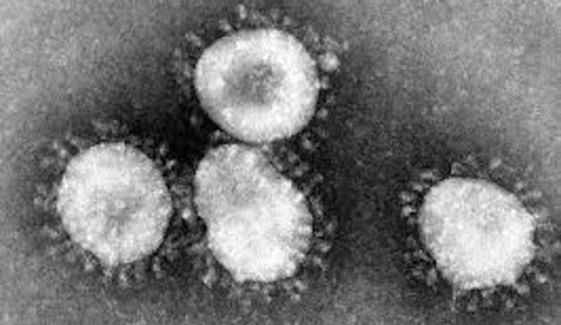 Coronavirus peggio della sars, il picco tra 10 giorni