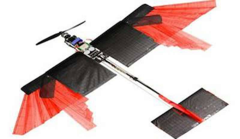 Costruito il primo drone che imita il volo degli uccelli: ha le ali piumate