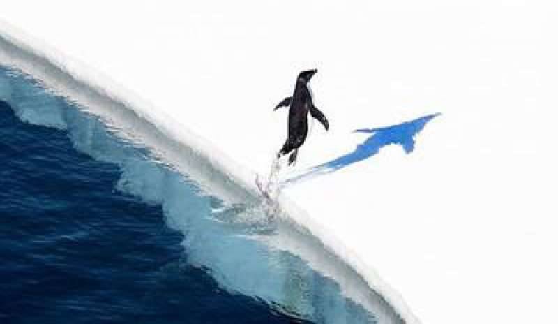 Creata in Antartide la riserva marina più grande al mondo