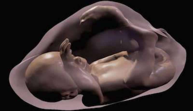 Create le prime immagini del feto in 3D grazie alla realtà virtuale