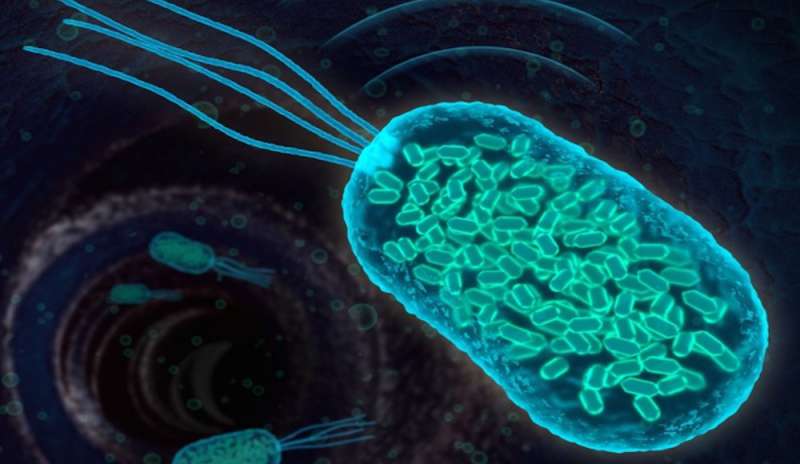Creati i primi batteri “sottomarino”