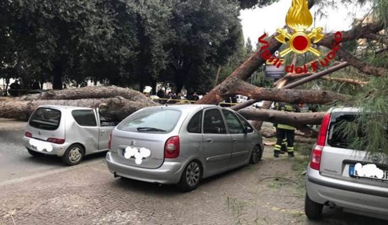 Crolla albero in viale Mazzini: tre feriti