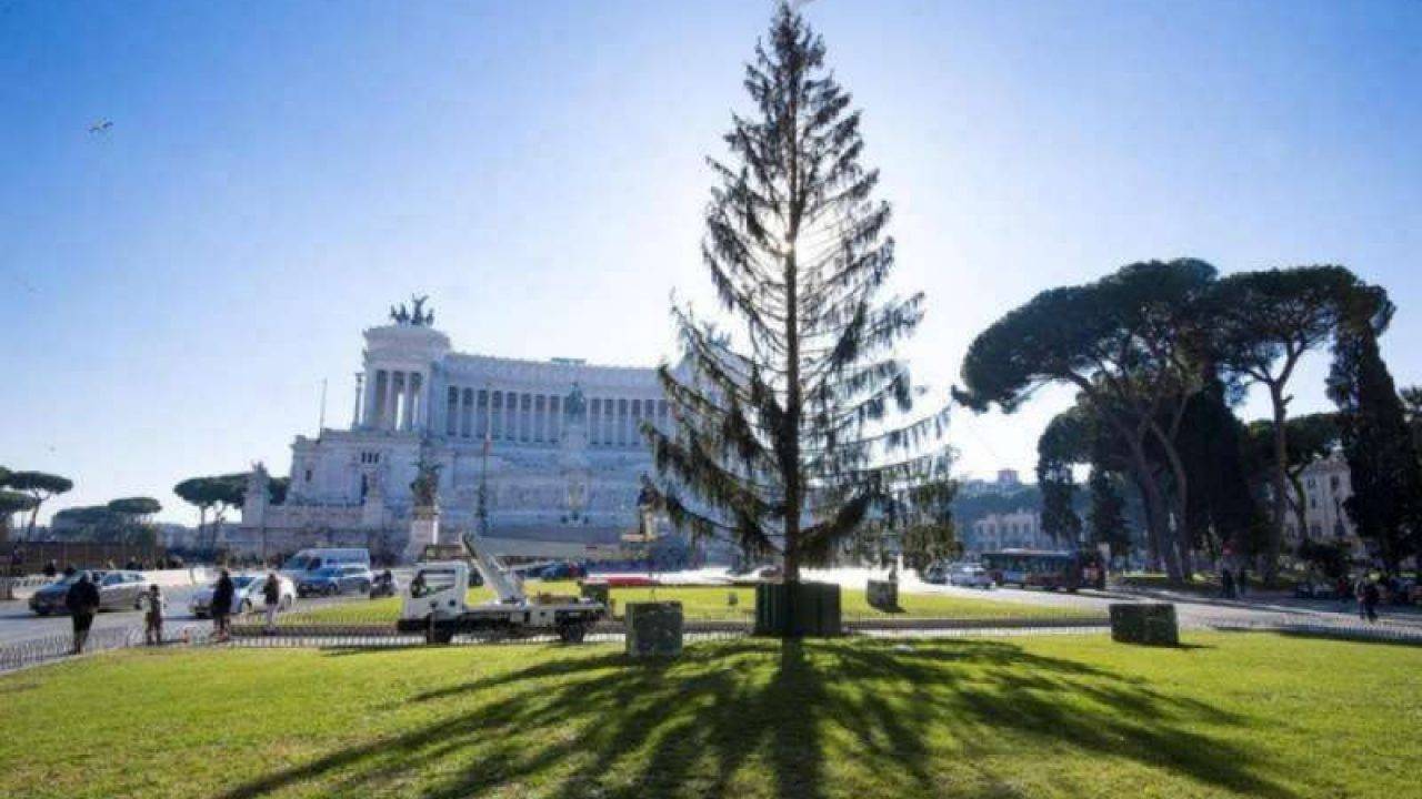 Albero Di Natale Roma 2020.Da Cittiglio A Roma A Piazza Venezia Torna Spelacchio Interris It