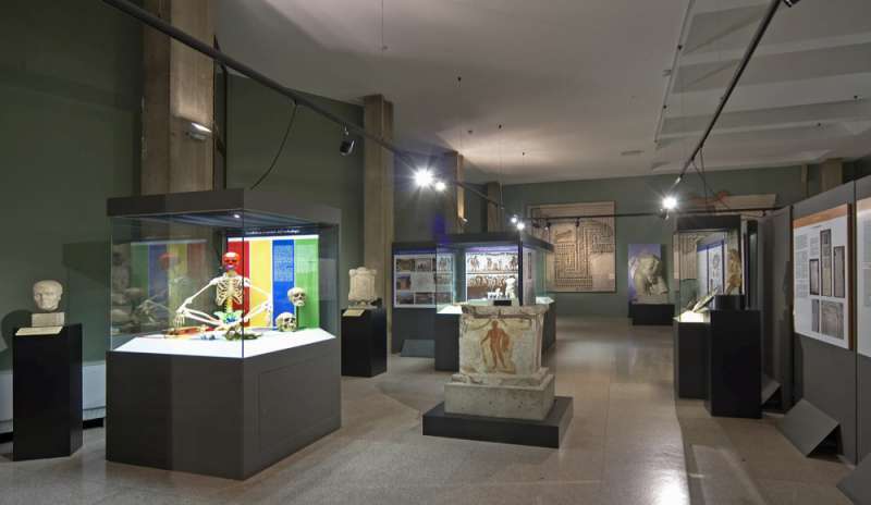 “Domenica al museo”, Milano aderisce all’iniziativa del Mibact