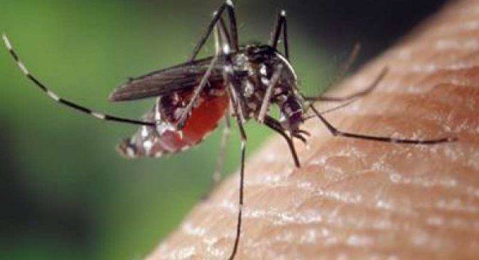 Stop alla strage dimenticata: ad agosto inizia la somministrazione del vaccino contro la malaria