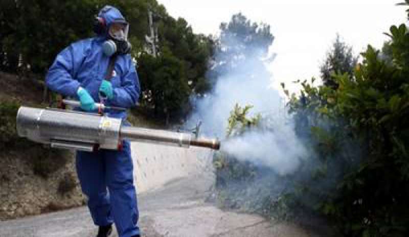 Ecdc: “In futuro, probabili nuovi casi di Chikungunya in tutta la Regione”