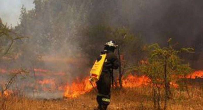 Emergenza incendi in Cile: bruciati 126 mila ettari di terreno, 78 abitazioni in fiamme