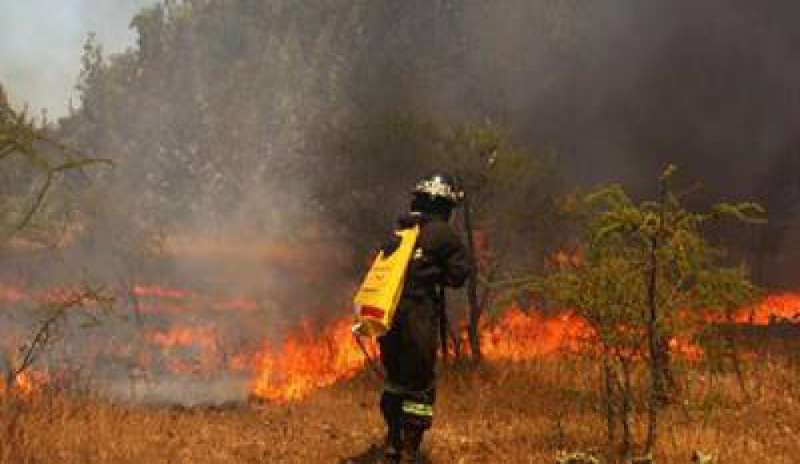 Emergenza incendi in Cile: bruciati 126 mila ettari di terreno, 78 abitazioni in fiamme