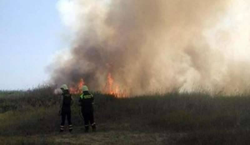 Emergenza incendi, Lazio in fiamme: due morti a Tivoli