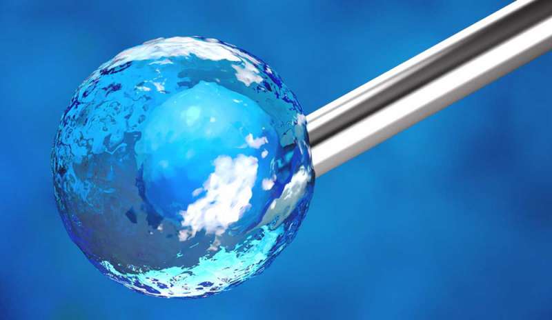 Europa: sì alla distruzione di embrioni umani per la ricerca