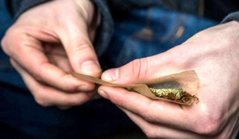Fontana: “Accertamenti sui cannabis shop”