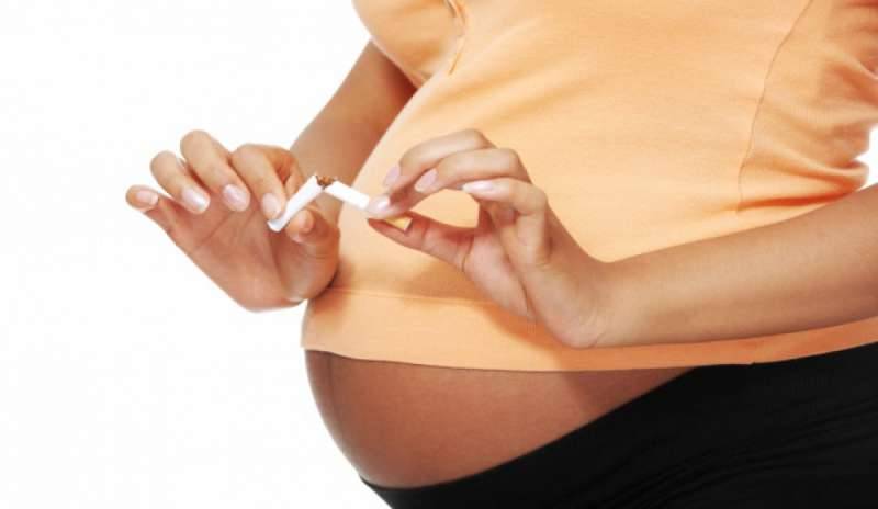 Fumare in gravidanza danneggia la fertilità dei figli maschi