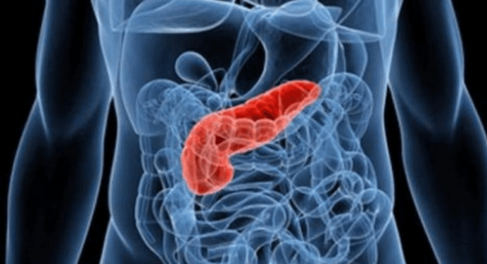 Giornata mondiale contro il tumore al pancreas