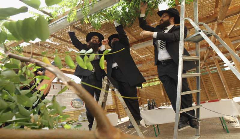 Gli ebrei festeggiano il Sukkot, la festa delle capanne