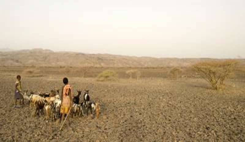 Grave rischio siccità nel Corno d’Africa. Dalla Fao: “Possibile una carestia come nel 2011”