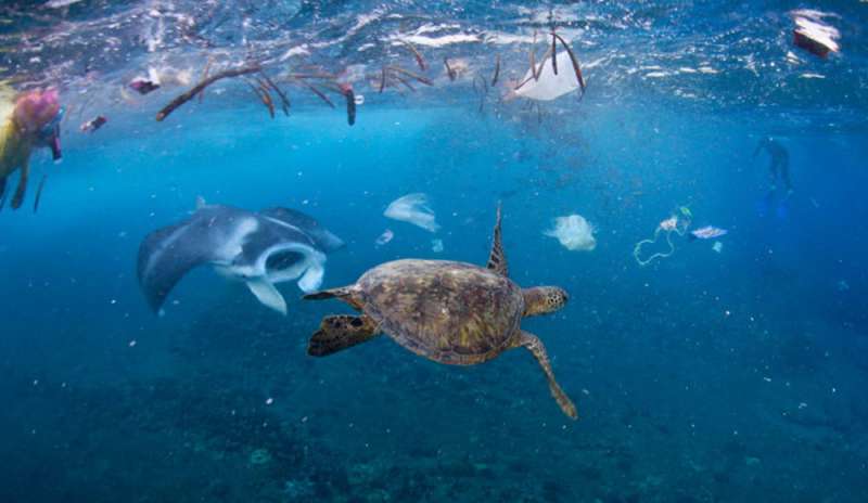 Guterres: “Se non cambiamo rotta, nei mari più plastica che pesci”