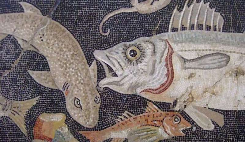 I romani cacciavano le balene nel Mediterraneo