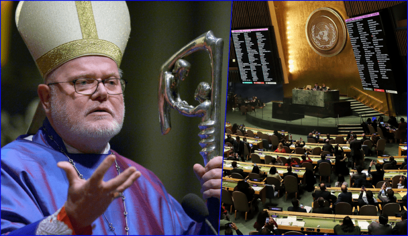 I vescovi tedeschi all'Onu: “Affrontare il clima è urgente”