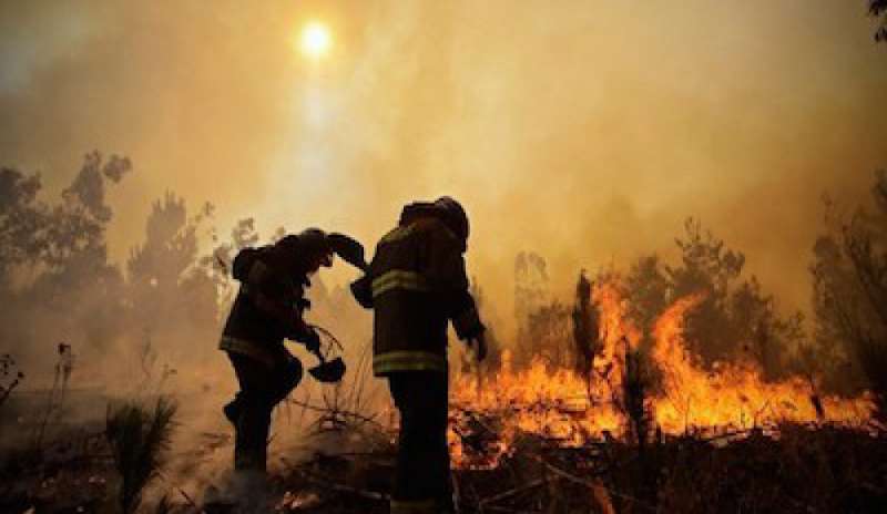 Il Pontefice solidale con le vittime del devastante incendio cileni