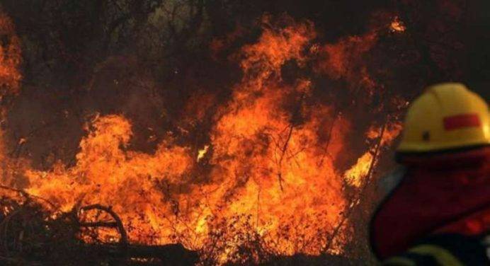 Incendi in Amazzonia, Bolsonaro rifiuta gli aiuti del G7