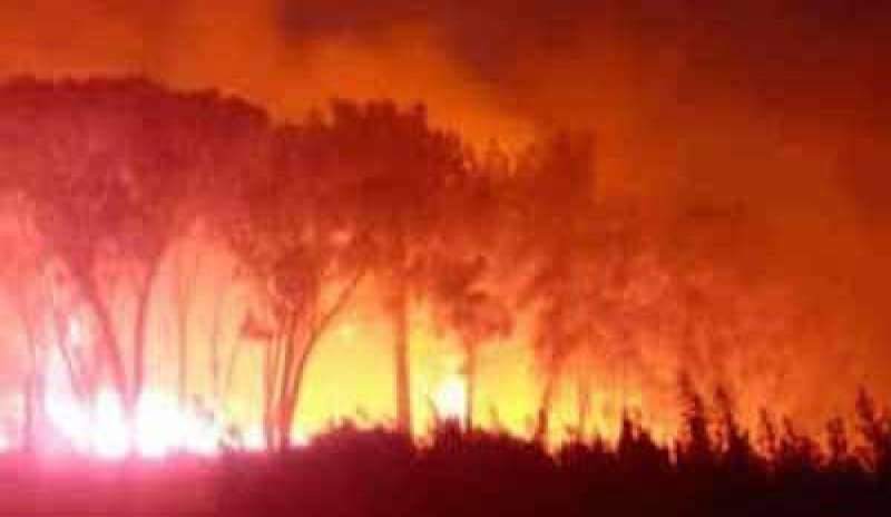 Incendio a Cesano: evacuata casa di cura e maneggio