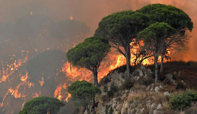 Italia in fiamme, Curcio: “Nel 2017 record di interventi antincendio”