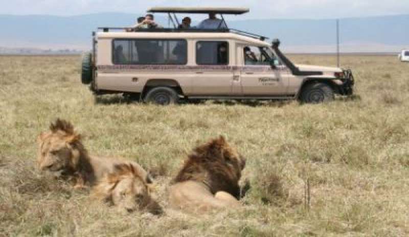 Kenya, incidente durante un safari: muore turista italiana