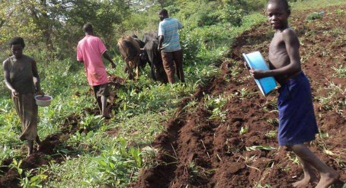 L'aiuto delle scuole cattoliche agli agricoltori ugandesi
