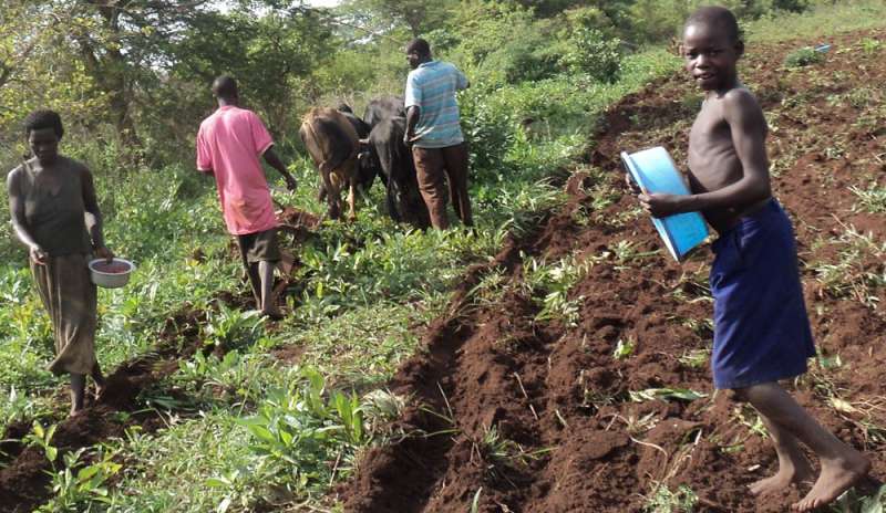 L'aiuto delle scuole cattoliche agli agricoltori ugandesi