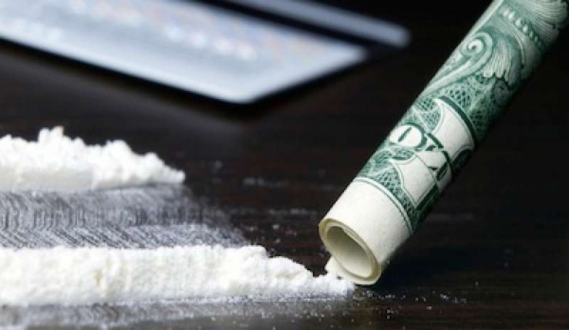 La dipendenza dalla cocaina si può ereditare, lo provano i ratti