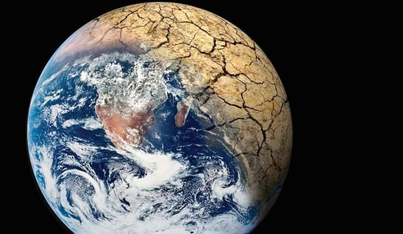 La sesta estinzione di massa è alle porte: inizierà nel 2100