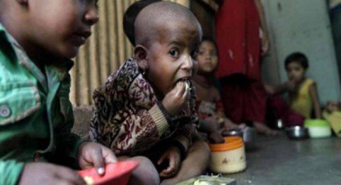 L’allarme della Fao: “In crescita la fame nel mondo: colpisce l’11% della popolazione”